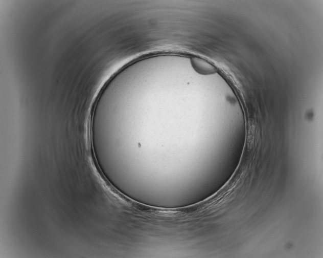 X0000097961295200804071021