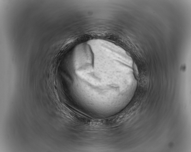X0000097961297200804071020