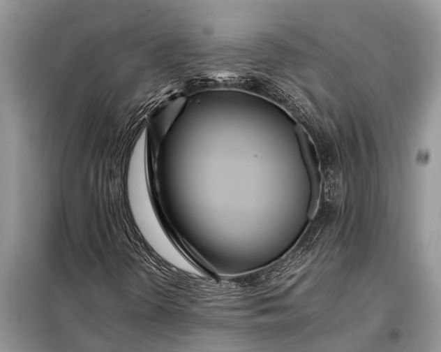 X0000097961298200804071020