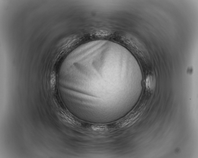 X0000097961299200804071020