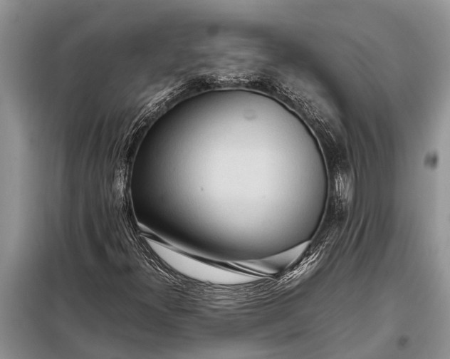 X0000097961300200804071020