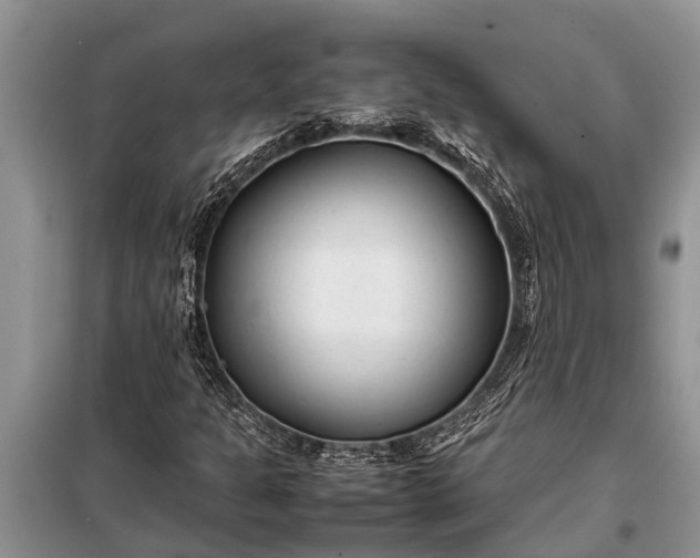 X0000097961301200804071020