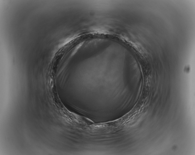 X0000097961303200804071020