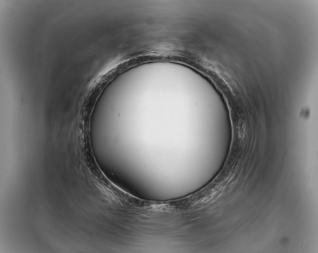 X0000097961304200804071020