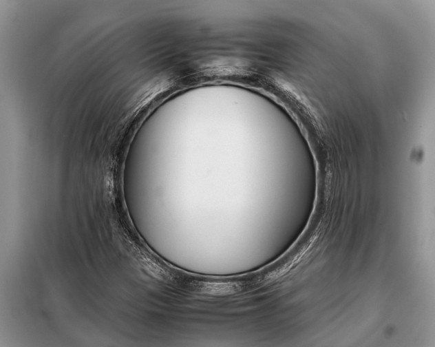 X0000097961305200804071020