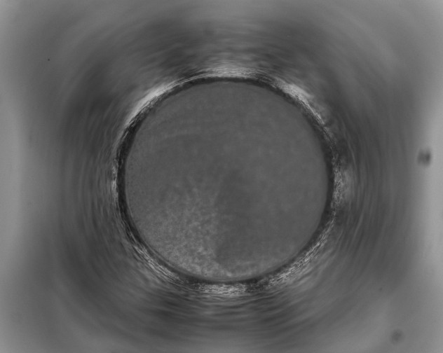 X0000097961307200804071020