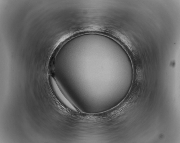 X0000097961308200804071020