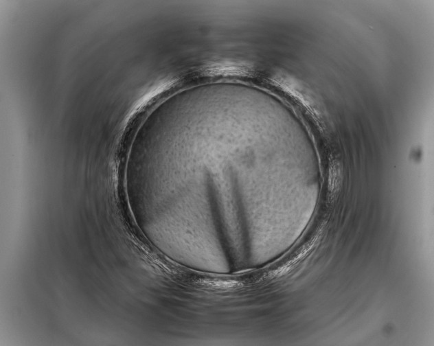X0000097961309200804071020