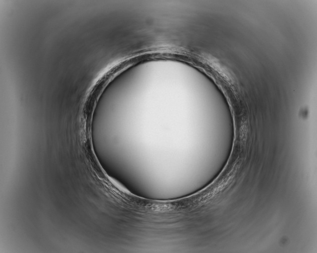 X0000097961310200804071020