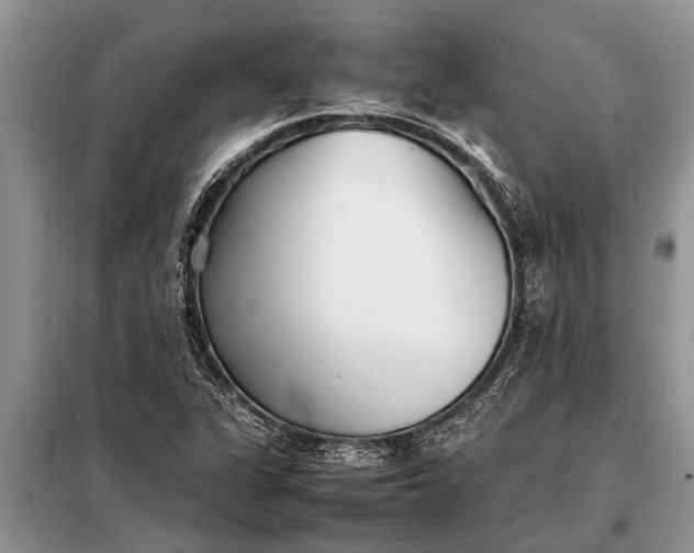 X0000097961311200804071020