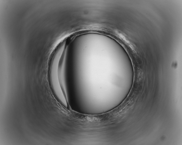 X0000097961312200804071020