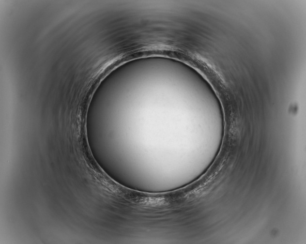 X0000097961313200804071020