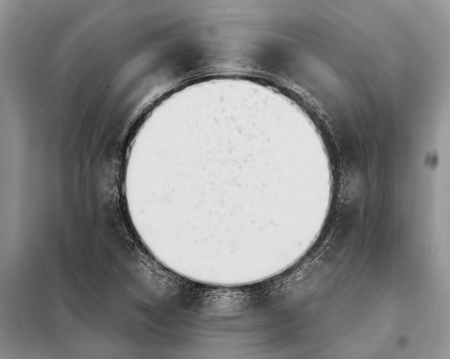 X0000097961314200804071020