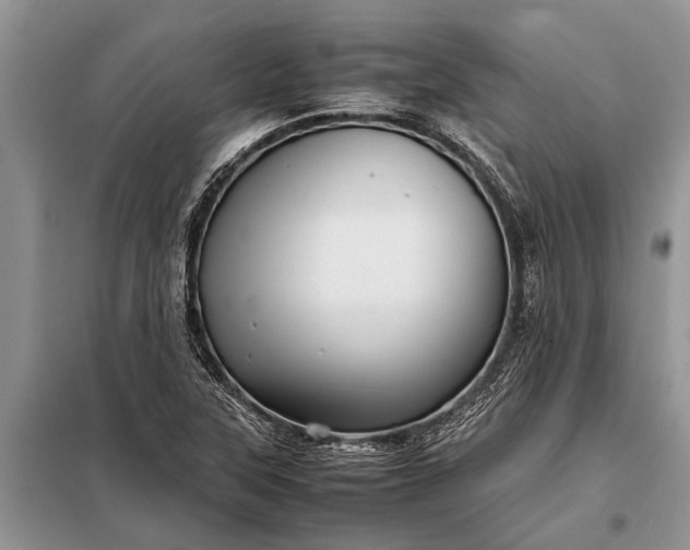 X0000097961315200804071020