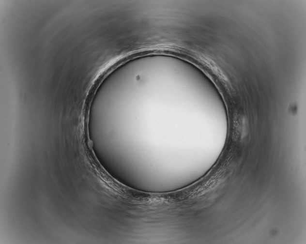 X0000097961316200804071020