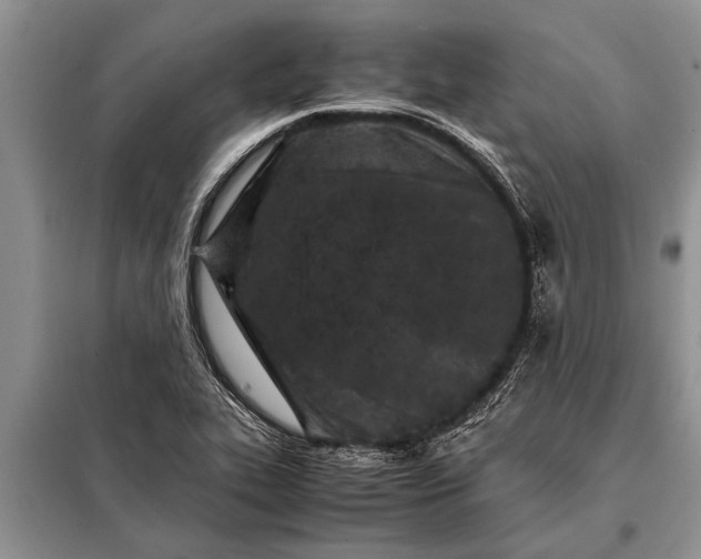 X0000097961319200804071020