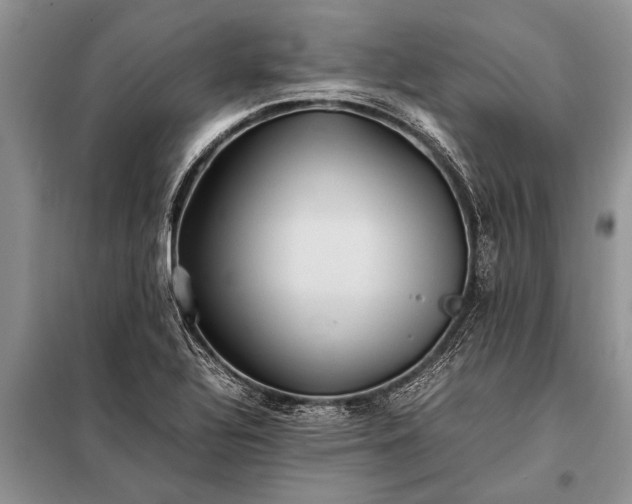X0000097961320200804071020