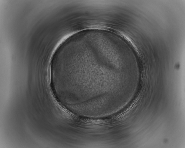 X0000097961323200804071020