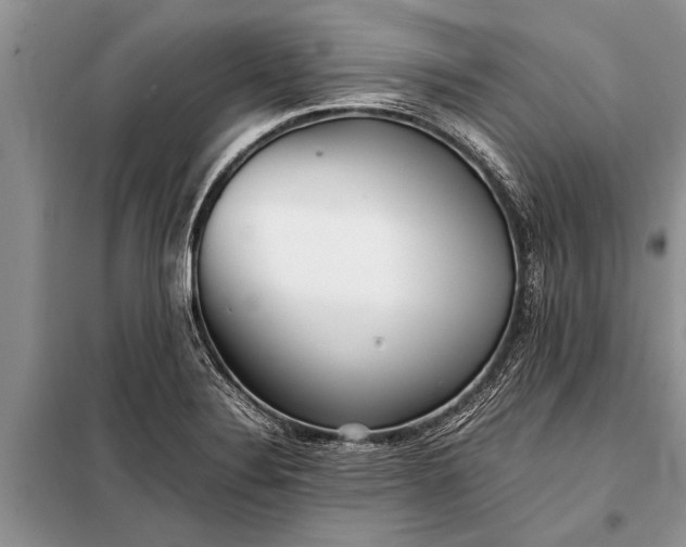 X0000097961324200804071020