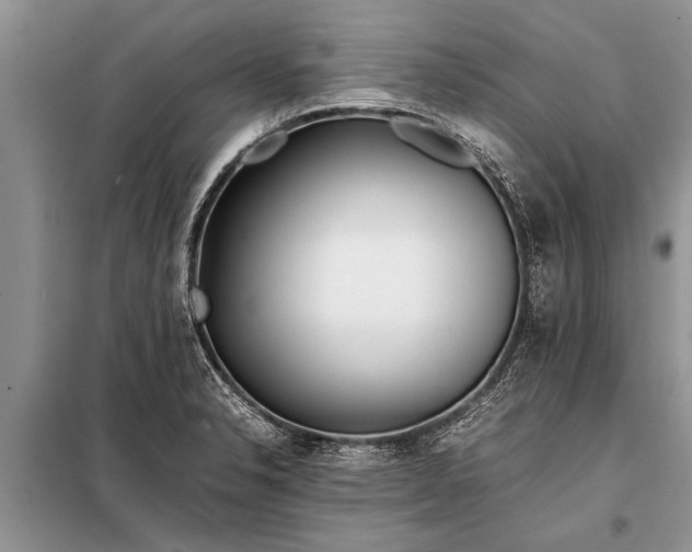 X0000097961326200804071020