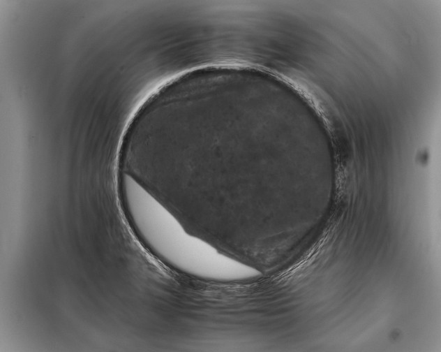 X0000097961327200804071020