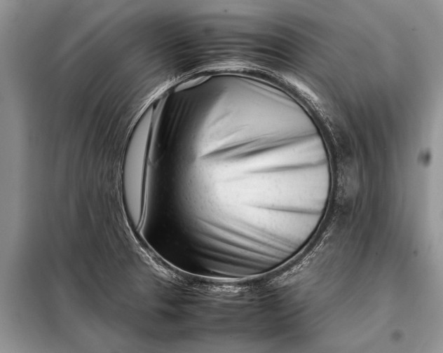 X0000097961329200804071020