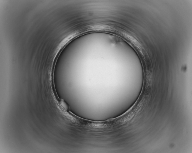 X0000097961330200804071020
