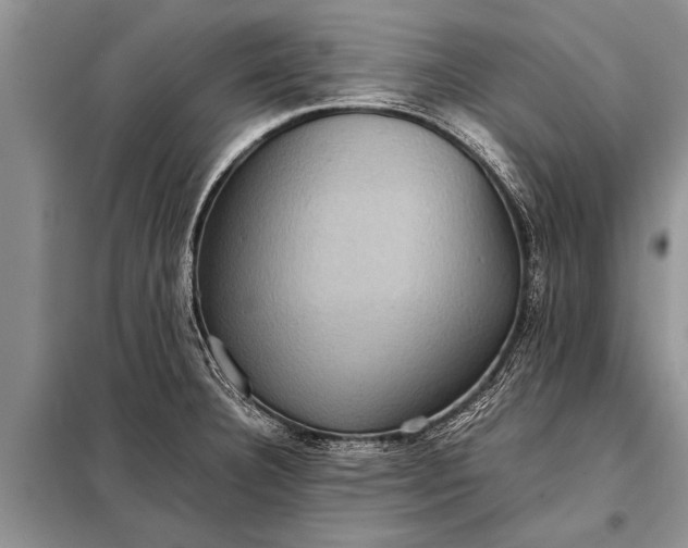 X0000097961332200804071021