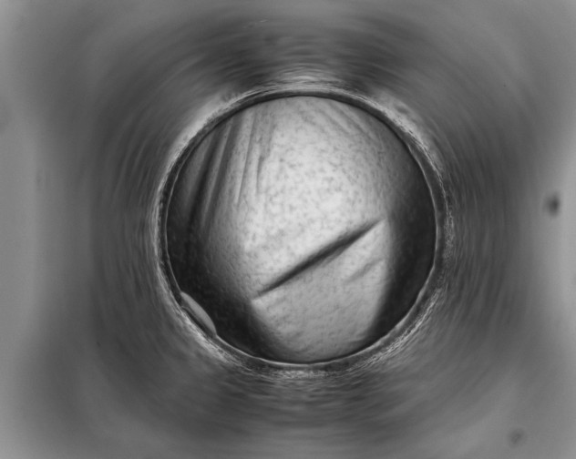 X0000097961333200804071021