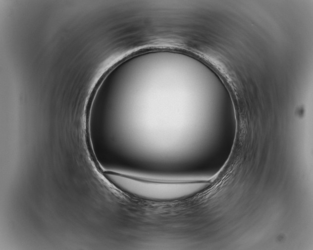 X0000097961335200804071021
