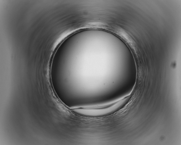 X0000097961336200804071021