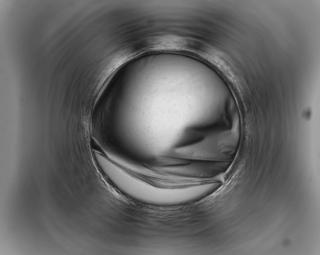 X0000097961337200804071021
