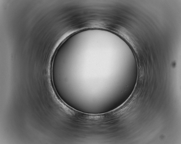 X0000097961339200804071021