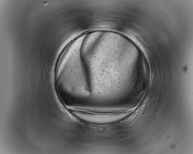 X0000097961341200804071021