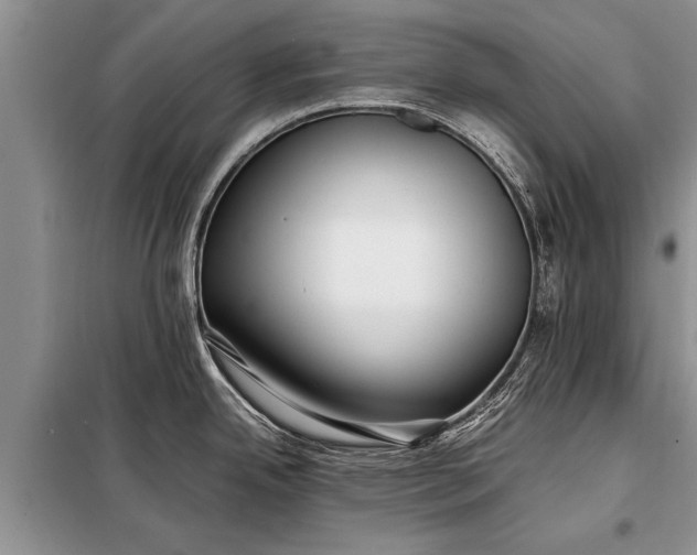 X0000097961342200804071021
