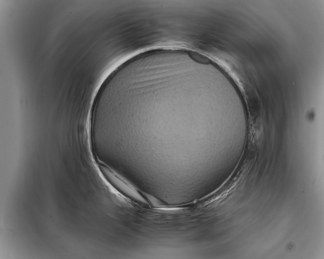 X0000097961343200804071021