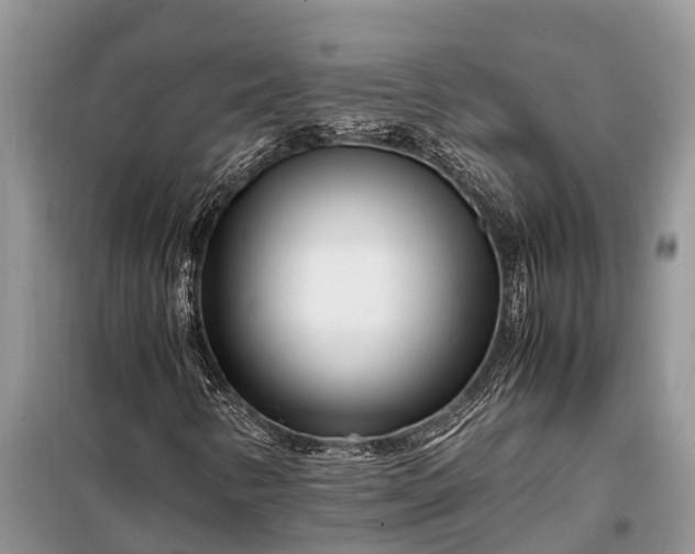 X0000097961346200804071020