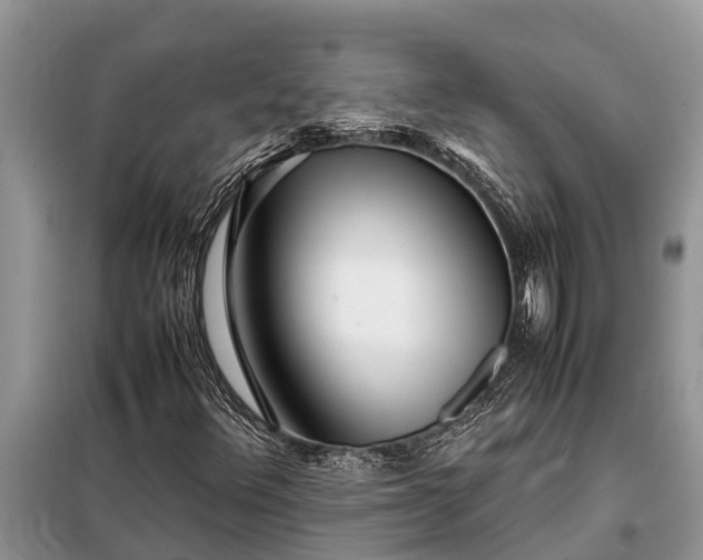 X0000097961348200804071020