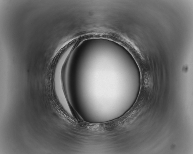 X0000097961352200804071020