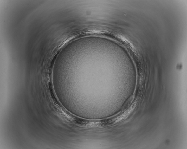 X0000097961353200804071020