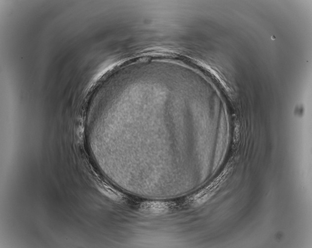 X0000097961355200804071020