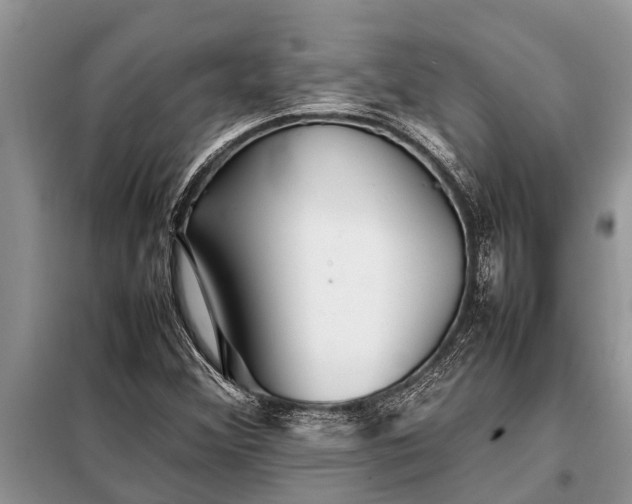 X0000097961356200804071020