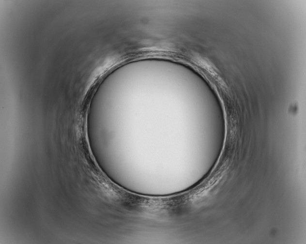 X0000097961357200804071020