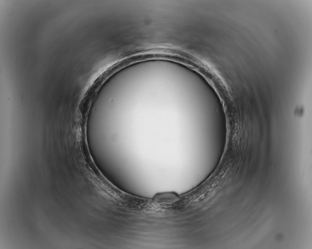 X0000097961360200804071020