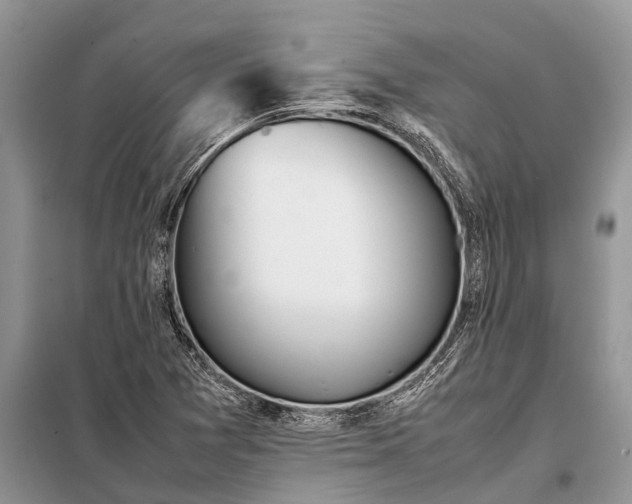 X0000097961361200804071020