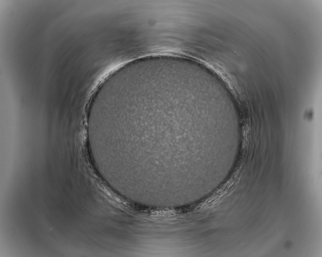 X0000097961363200804071020