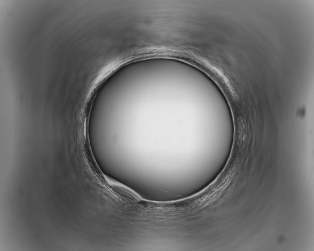 X0000097961365200804071020