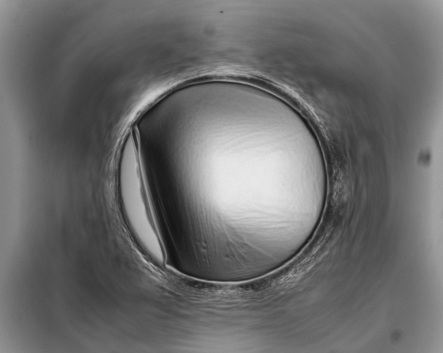 X0000097961367200804071019