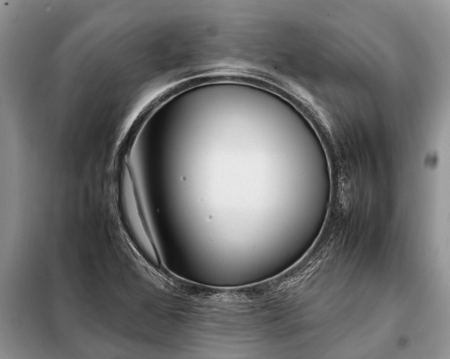 X0000097961368200804071019