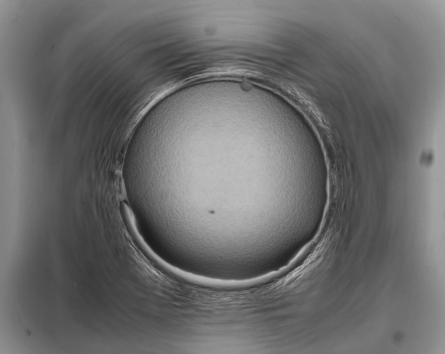 X0000097961369200804071019